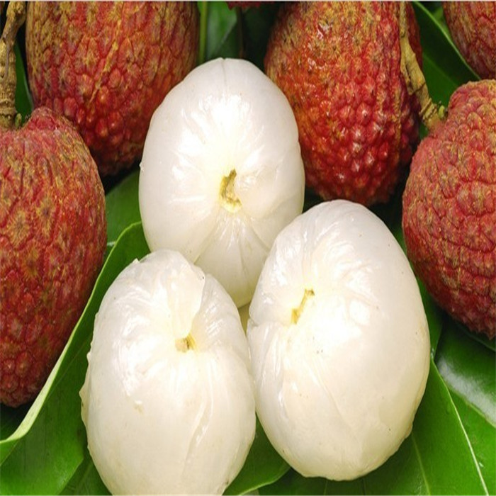425g canned lychee on sale